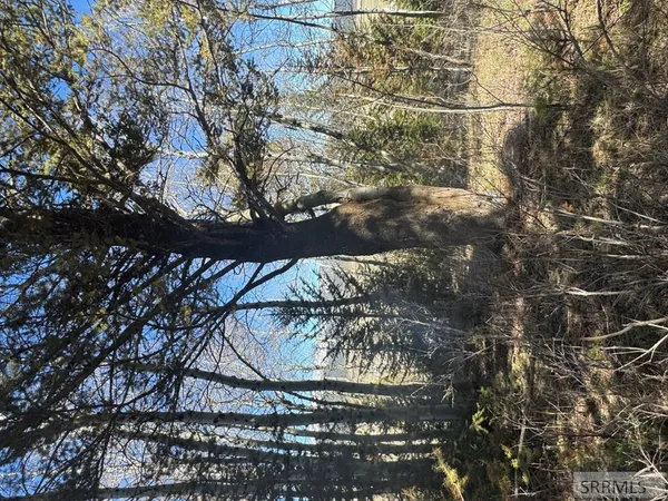 $236,000 | 4788 Balsam St Island Park, Island Park, ID 83429