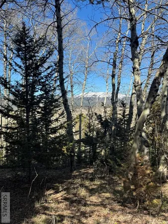 $236,000 | 4788 Balsam St Island Park, Island Park, ID 83429
