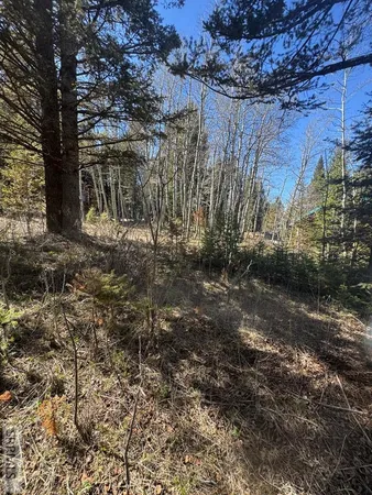$236,000 | 4788 Balsam St Island Park, Island Park, ID 83429