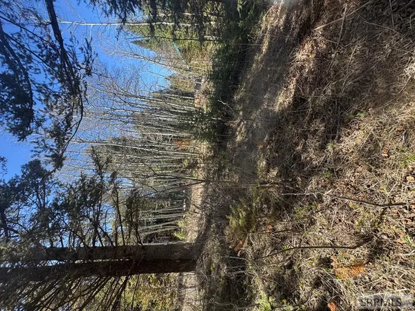 $236,000 | 4788 Balsam St Island Park, Island Park, ID 83429