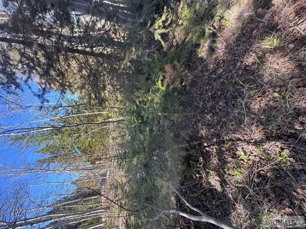 $236,000 | 4788 Balsam St Island Park, Island Park, ID 83429