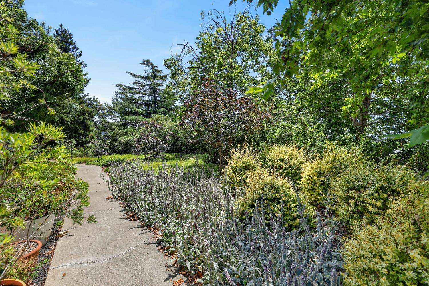 2708 Pole Line Road, Unit 2 Davis, CA 95618 - Photo 30 of 37