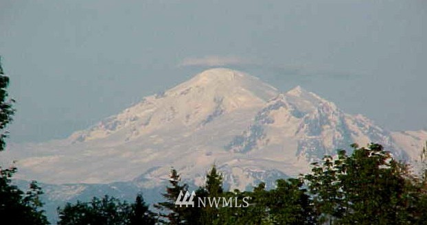2989 Douglas Road Ferndale, WA 98248 - Photo 21 of 23 Gallery Image 21