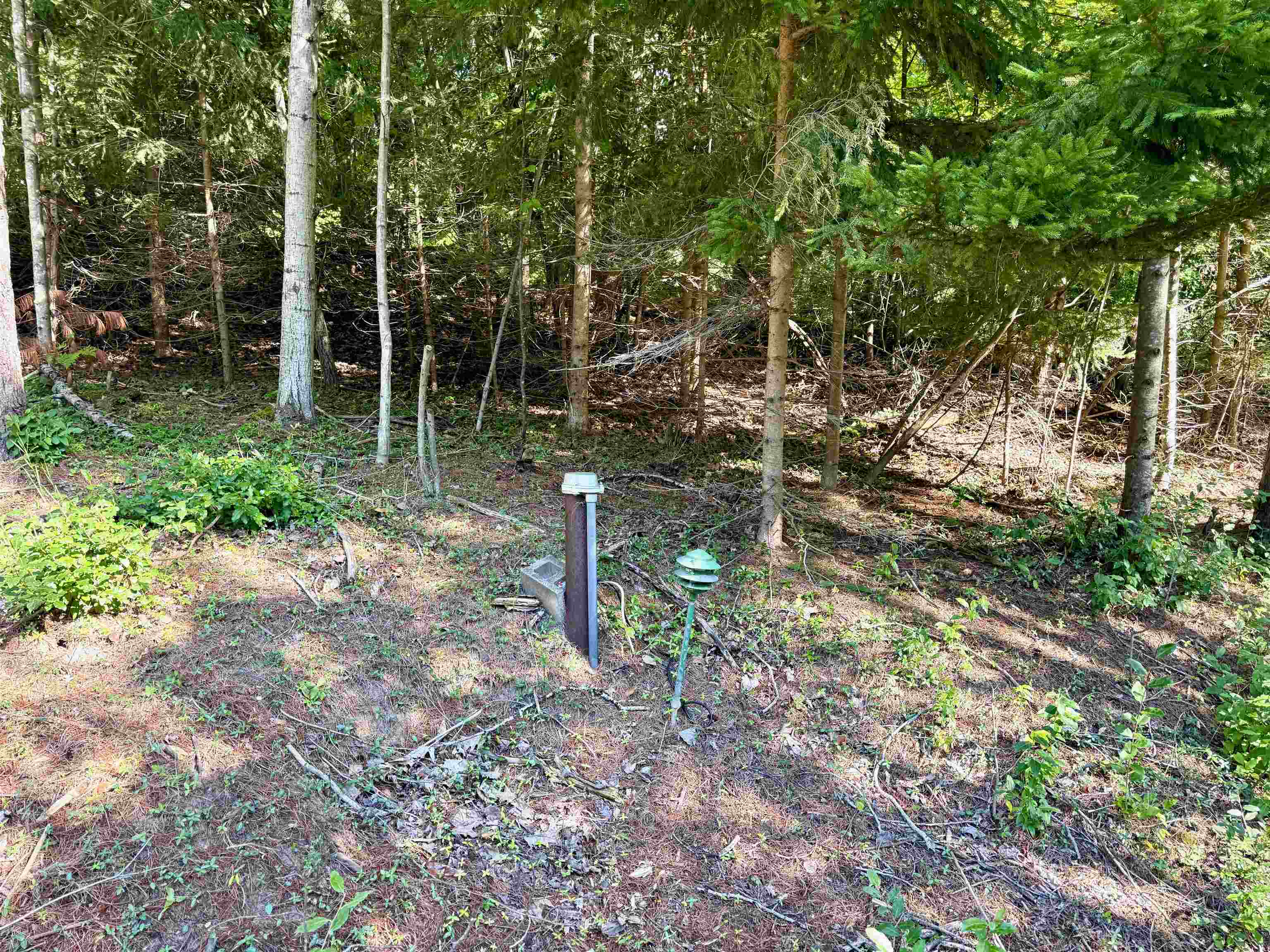 161 West Nachazel Road Maple City, MI 49664 - Photo 10 of 18