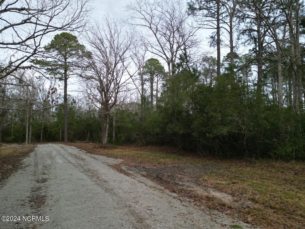 113 Matthews Road Bayboro, NC 28515 - Photo 4 of 25 4