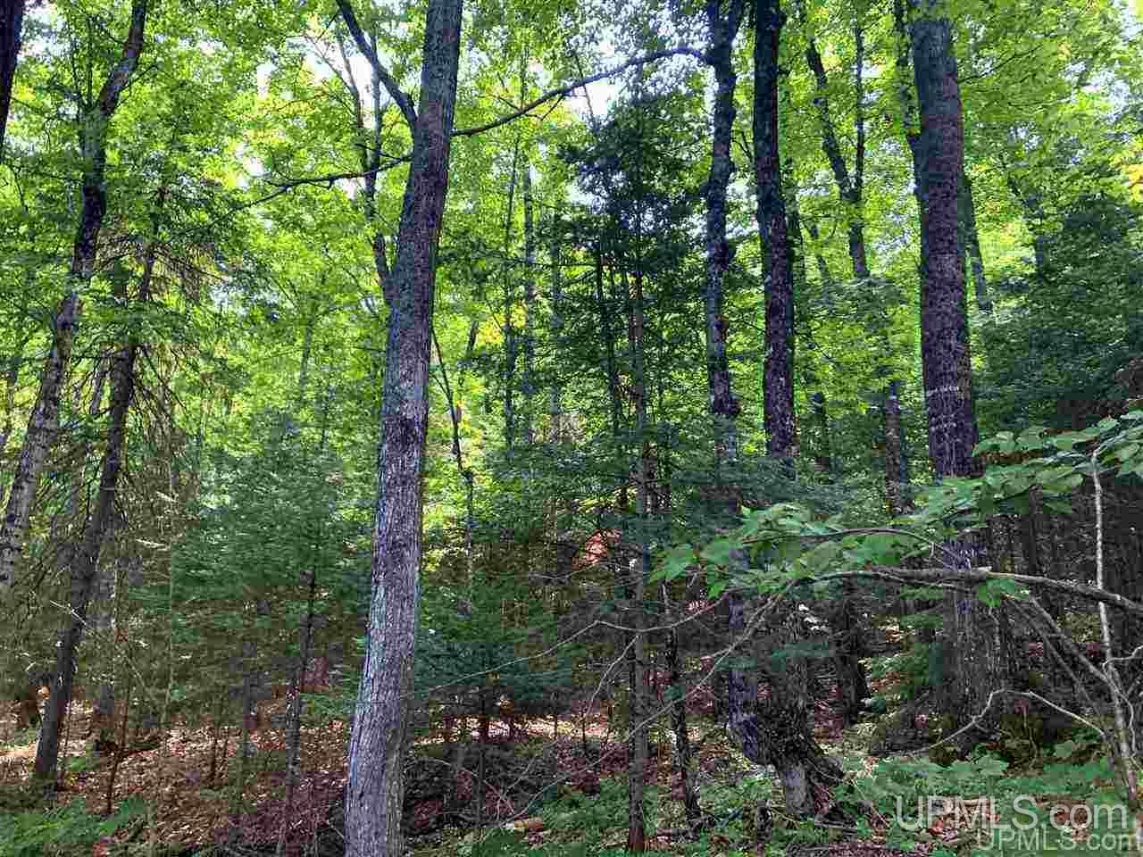 Tbd Deer Lake Road Ishpeming, MI 49849 - Photo 18 of 47