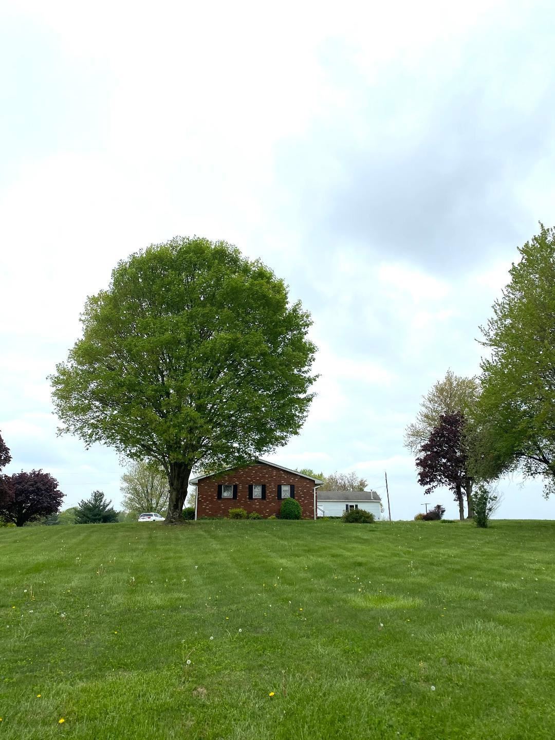4671 East St Road Bloomfield, IN 47424 - Photo 33 of 34