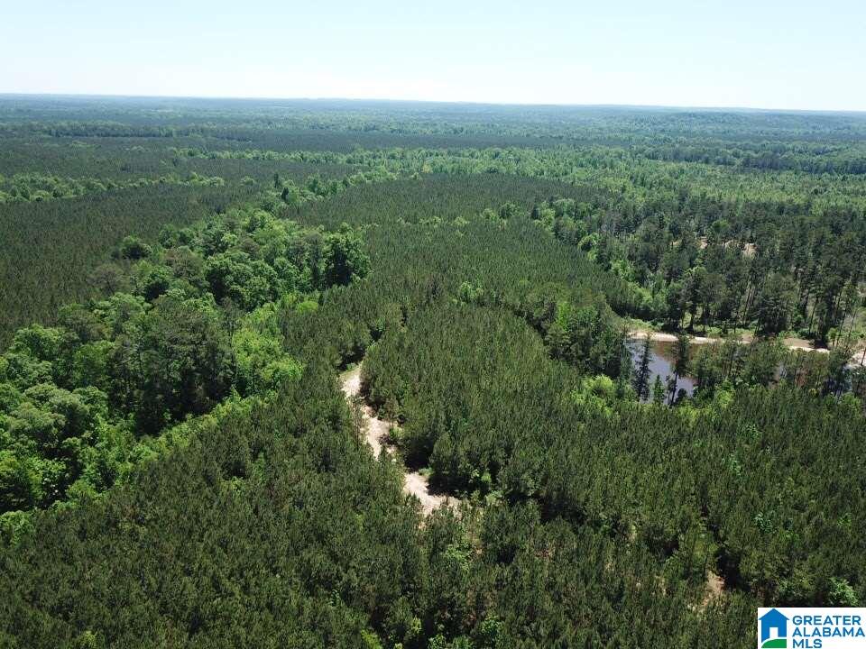 7 County Road, Unit 152 Thomasville, AL 36784 - Photo 6 of 11