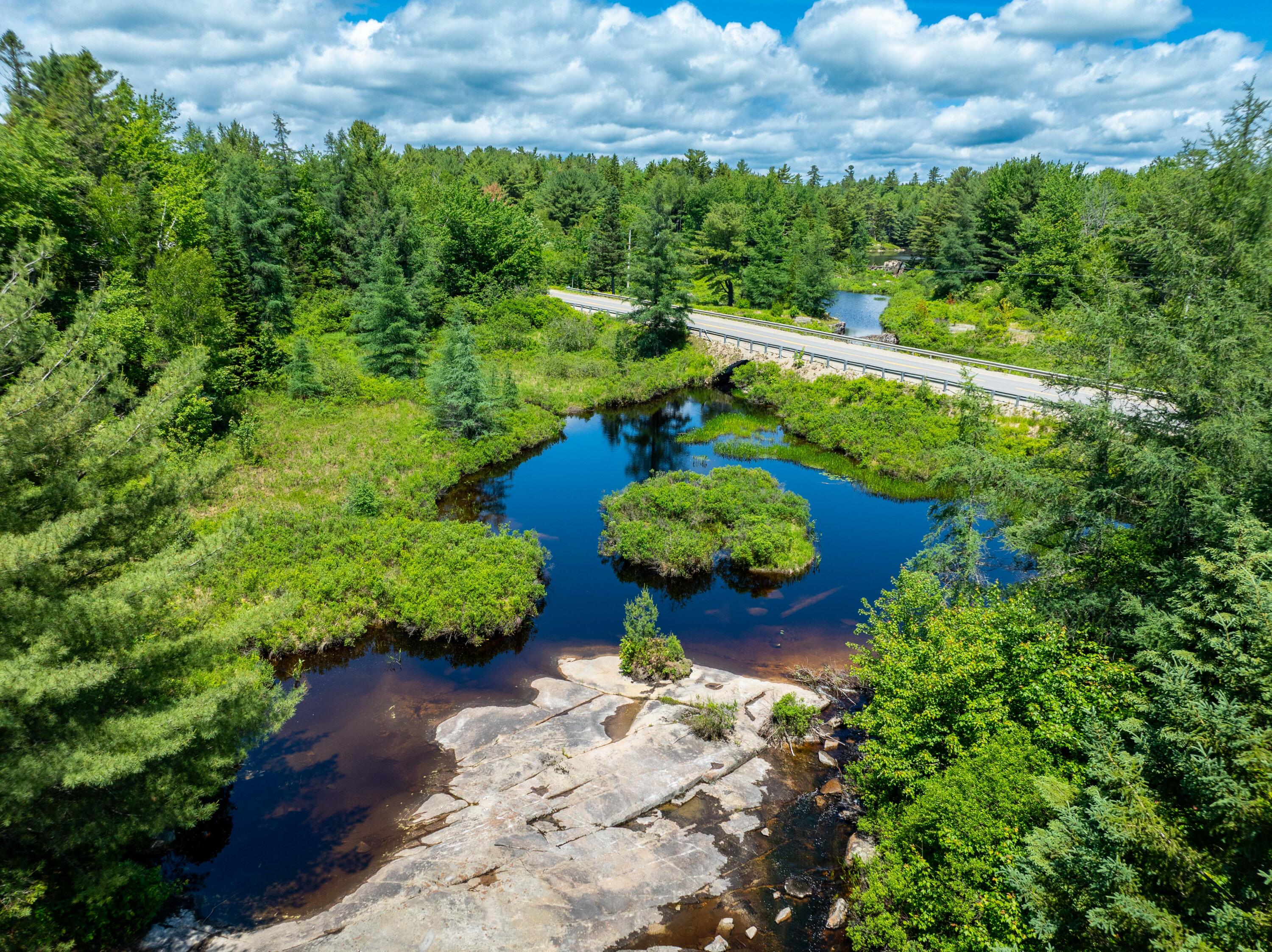 M4-l29 Northfield Road Machias, ME 04654 - Photo 4 of 23 42 Acre Lot Marshfield (28 of 32)