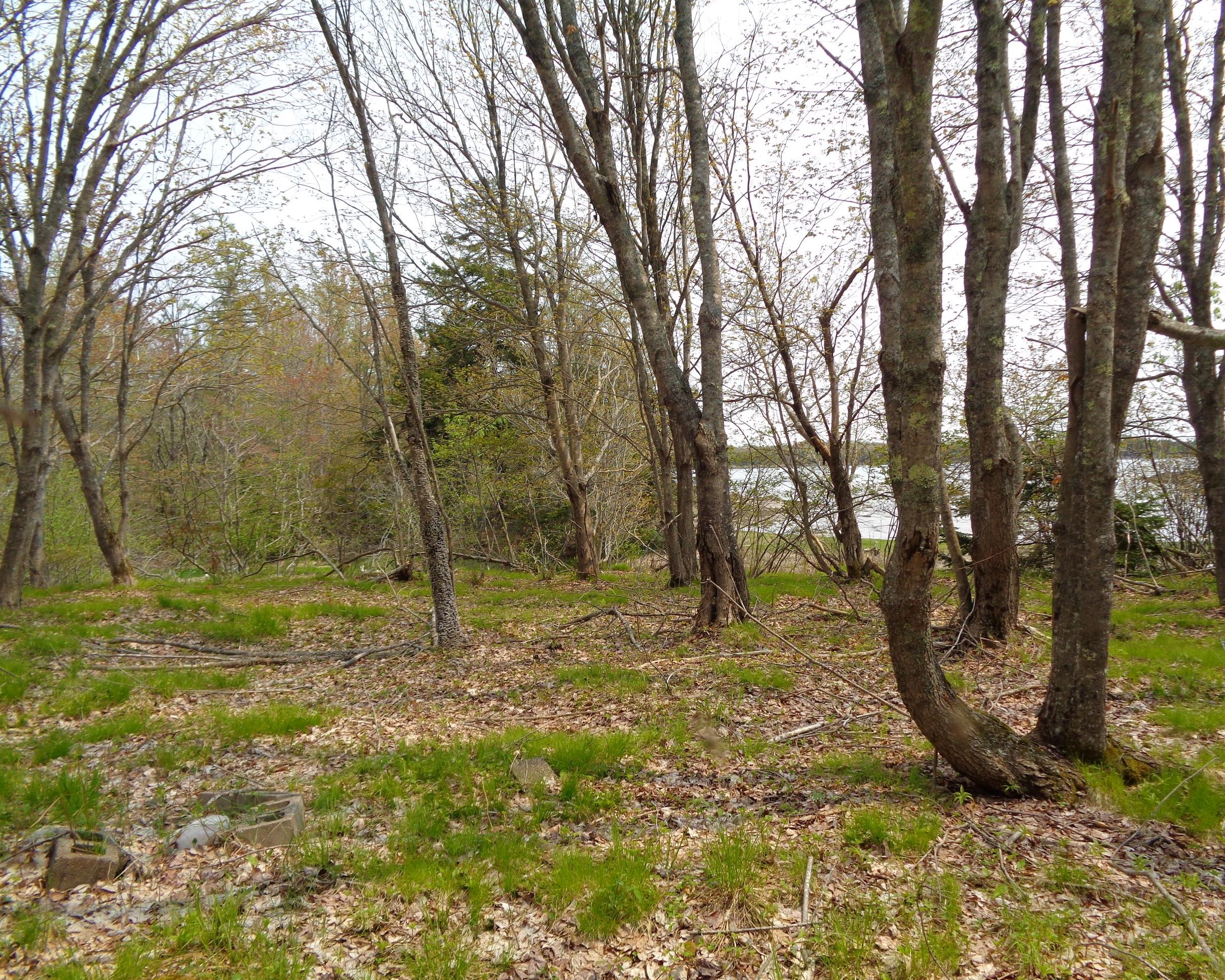 Lot 14-5 Pineo Point Road Harrington, ME 04643 - Photo 22 of 34 DSC03087
