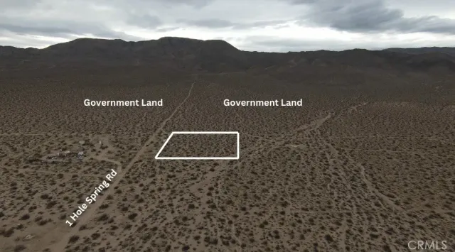 a view of a dry yard