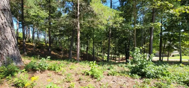 a view of outdoor space and a yard