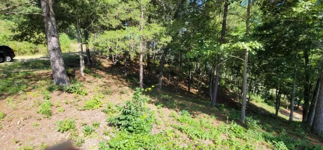 a backyard of a house with lots of green space