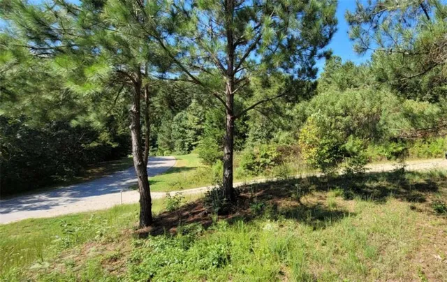 a view of yard with large trees