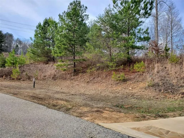 a view of a dry yard with trees