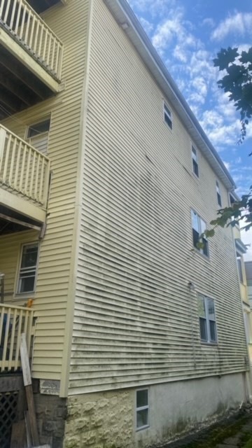 29-31 Regis Road Boston, MA 02126 - Photo 6 of 29 Gallery Image 6