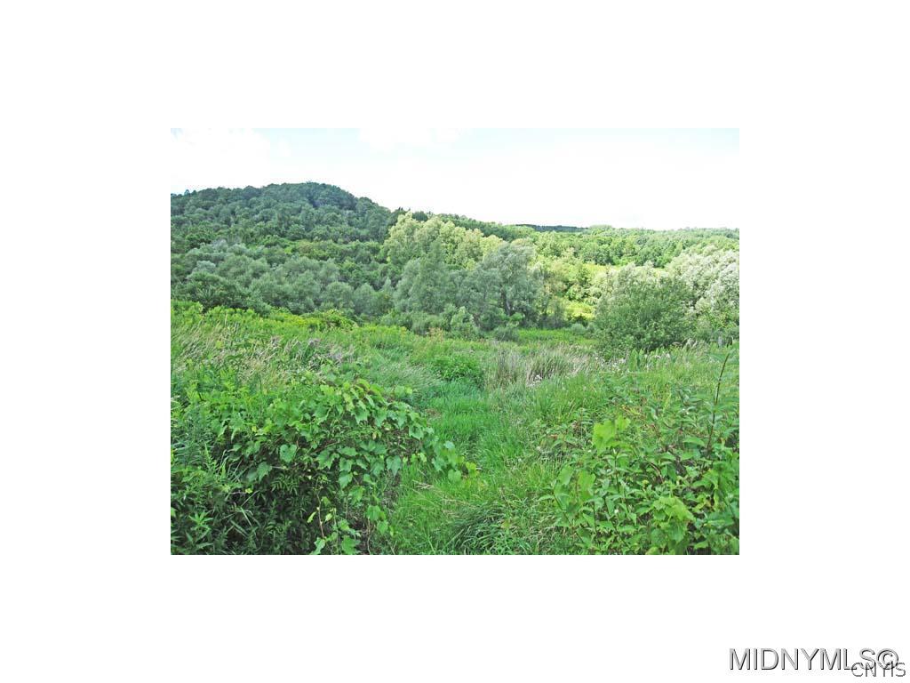 0 Johnnycake Road Mohawk, NY 13407 - Photo 1 of 1