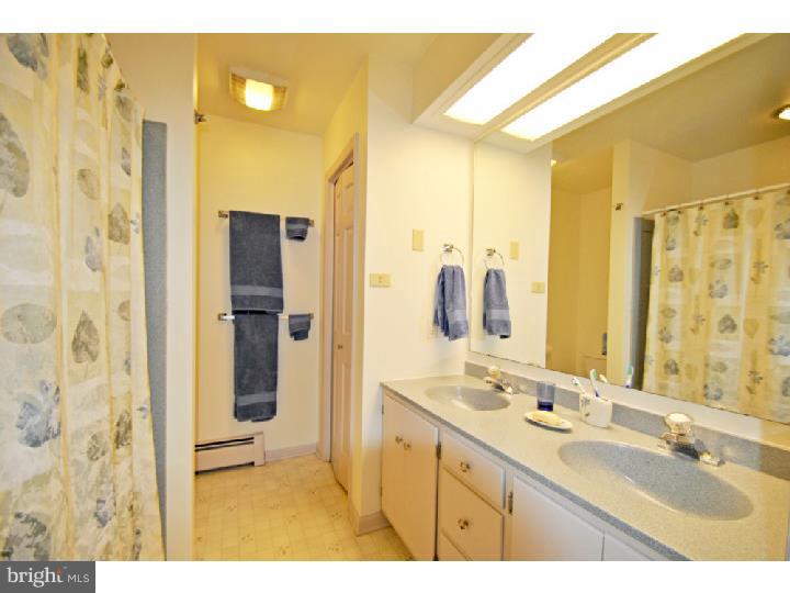 1031 North Ridge Road Perkasie, PA 18944 - Photo 14 of 24 Master Bathroom