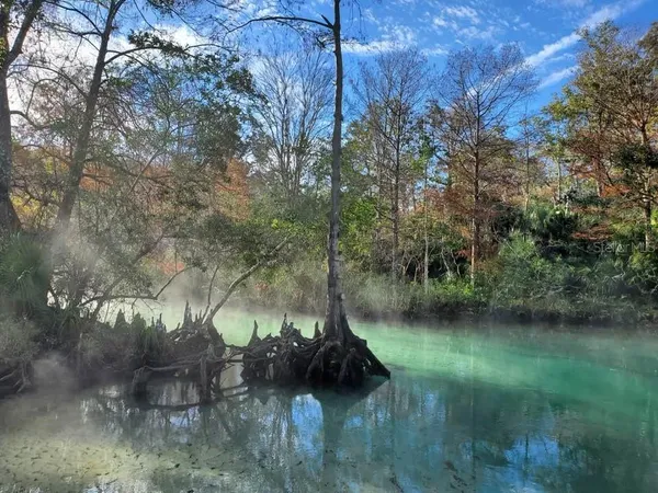 $179,900 | 2 Flexer Drive, Hernando Beach, FL 34607