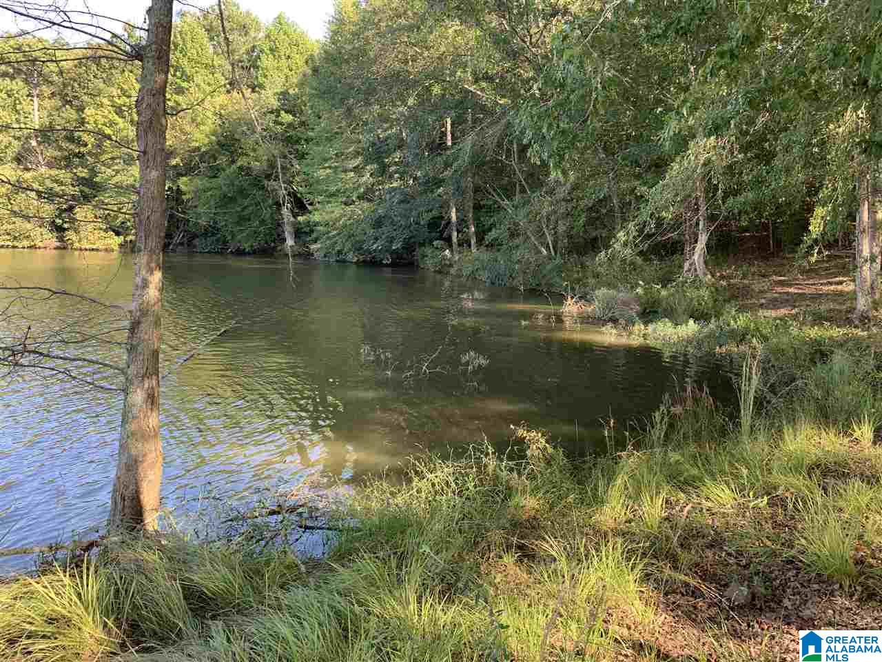 367 Cash Street Ohatchee, AL 36271 - Photo 24 of 37