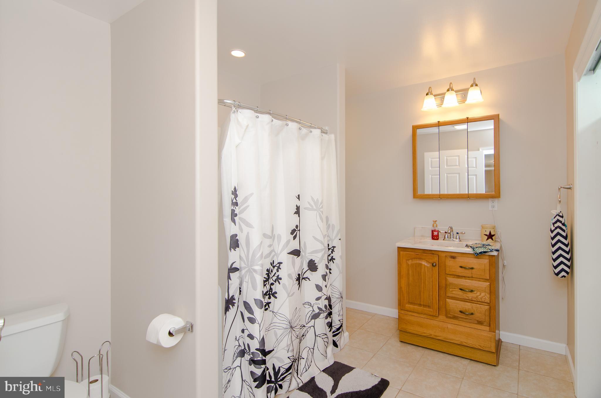 6778 St Pauls Road King George, VA 22485 - Photo 17 of 74 Downstairs bathroom with large shower
