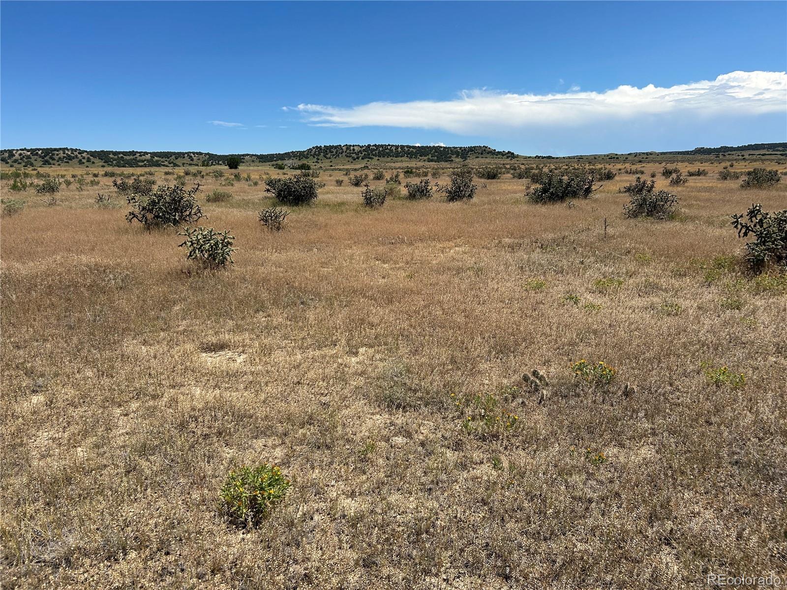 Lot 4 Outback Ranch Model, CO 81059 - Photo 13 of 20