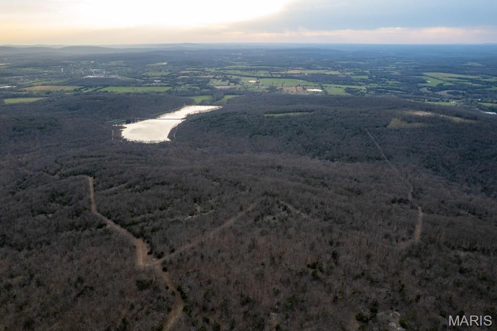 805 Vineyard Lake Road Bismarck, MO 63624 - Photo 11 of 64