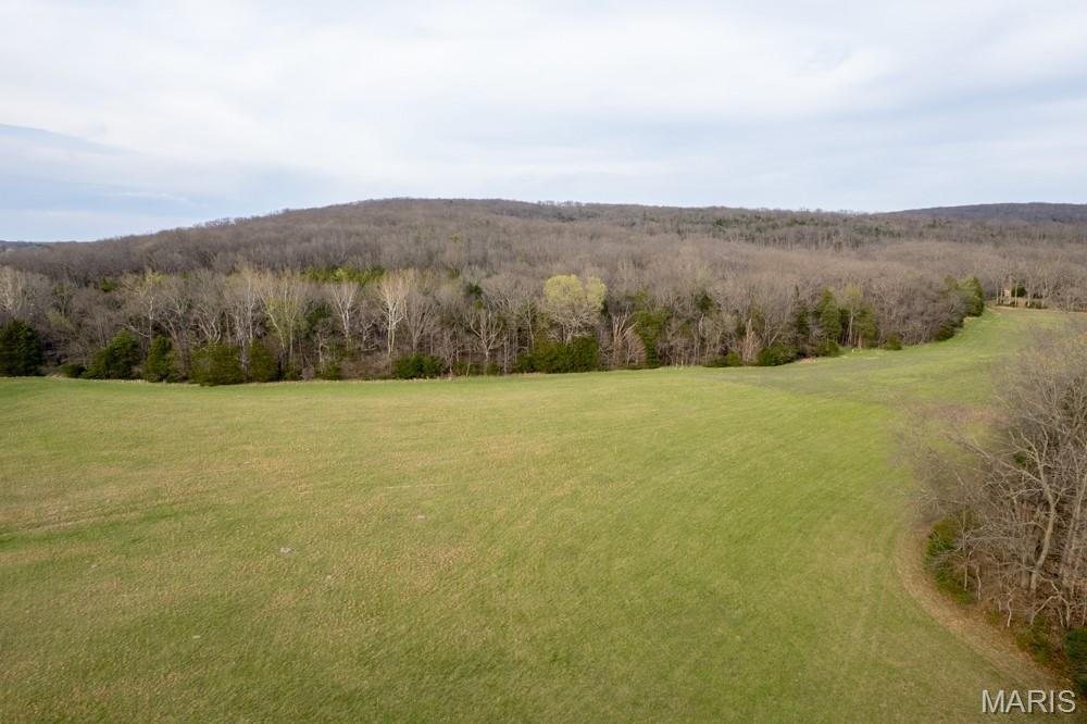 805 Vineyard Lake Road Bismarck, MO 63624 - Photo 13 of 64