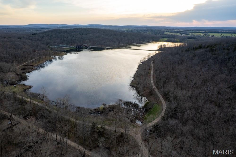 805 Vineyard Lake Road Bismarck, MO 63624 - Photo 3 of 64