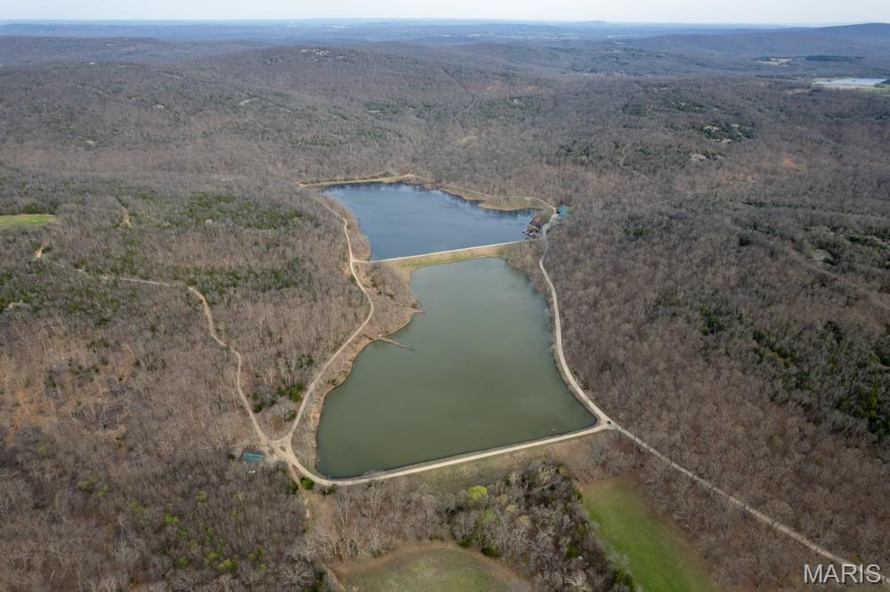 805 Vineyard Lake Road Bismarck, MO 63624 - Photo 4 of 64