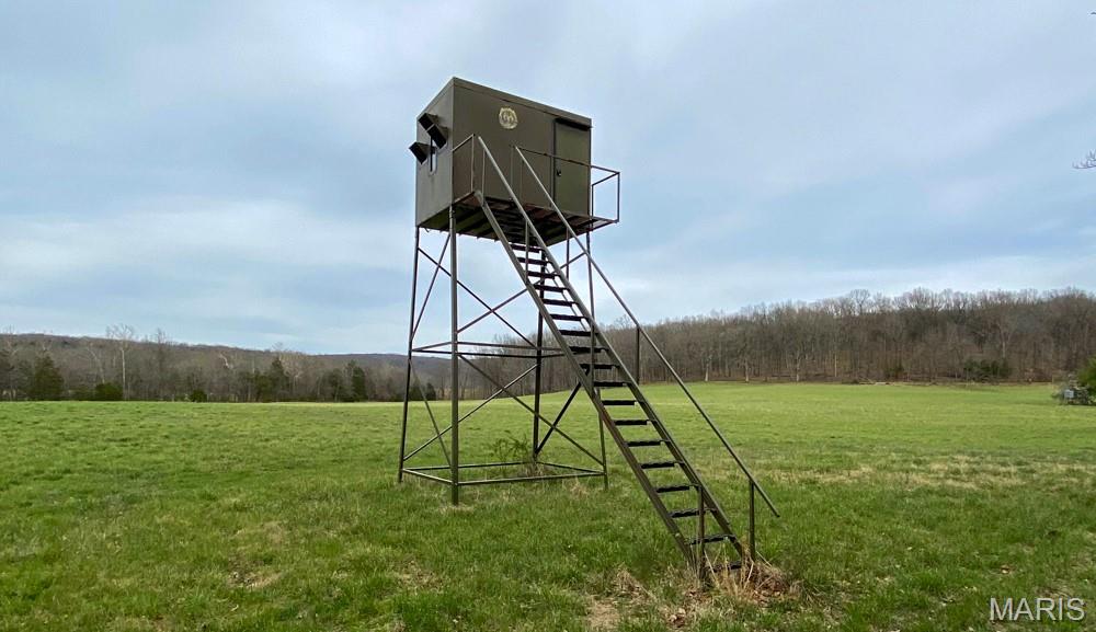 805 Vineyard Lake Road Bismarck, MO 63624 - Photo 48 of 64