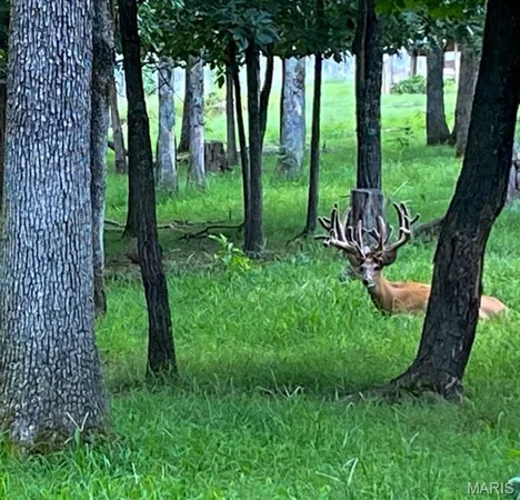 $6,300,000 | 805 Vineyard Lake Road, Bismarck, MO 63624