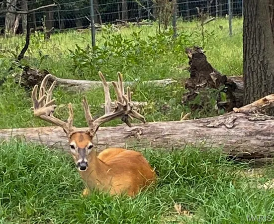 $6,300,000 | 805 Vineyard Lake Road, Bismarck, MO 63624