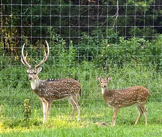 $6,300,000 | 805 Vineyard Lake Road, Bismarck, MO 63624