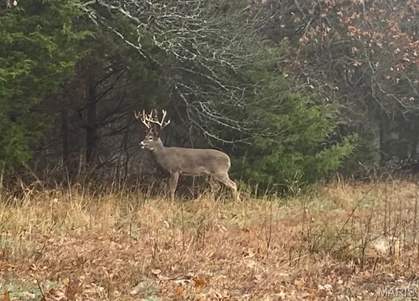 $6,300,000 | 805 Vineyard Lake Road, Bismarck, MO 63624