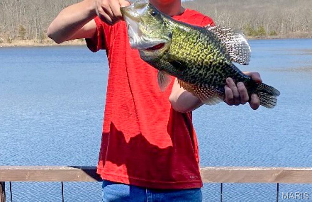 805 Vineyard Lake Road Bismarck, MO 63624 - Photo 58 of 64