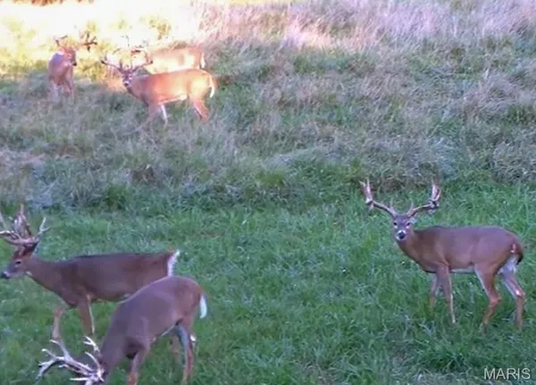 $6,300,000 | 805 Vineyard Lake Road, Bismarck, MO 63624