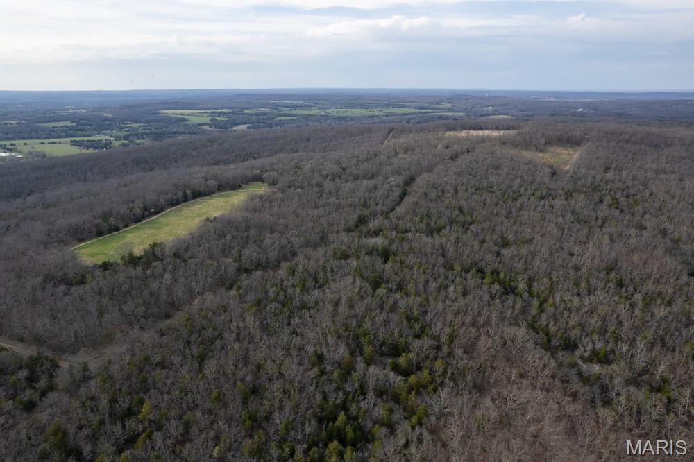 805 Vineyard Lake Road Bismarck, MO 63624 - Photo 6 of 64