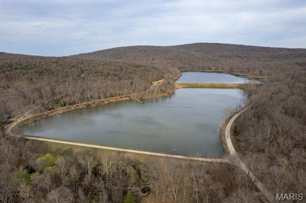 805 Vineyard Lake Road Bismarck, MO 63624 - Photo 61 of 64