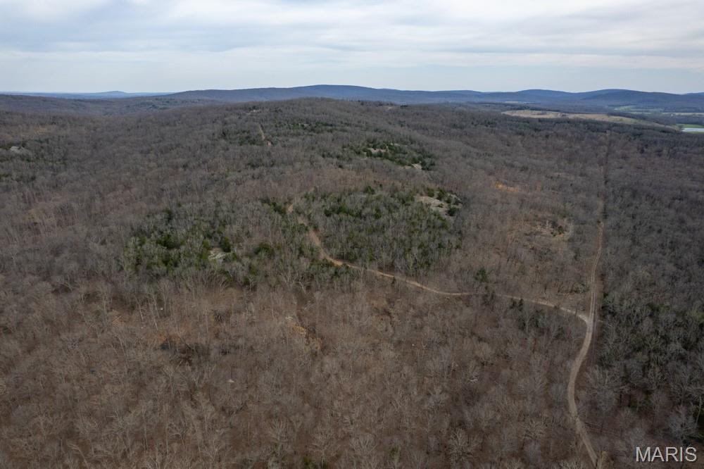 805 Vineyard Lake Road Bismarck, MO 63624 - Photo 7 of 64