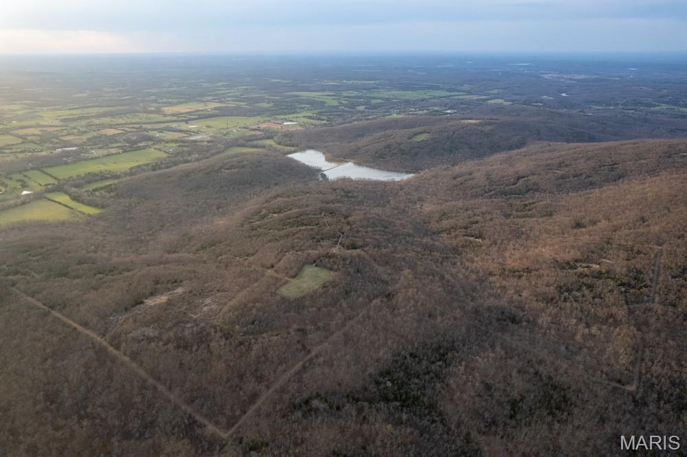 805 Vineyard Lake Road Bismarck, MO 63624 - Photo 10 of 64