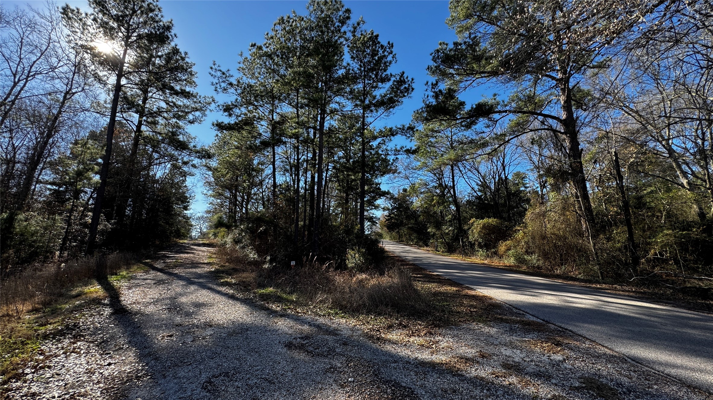 Tbd Buck Lane Hempstead, TX 77445 - Photo 8 of 9 Beautiful 1/3+ Acre Corner Lot with mature trees and sloping landscape, 2 road front access, surrounded by beautiful custom homes