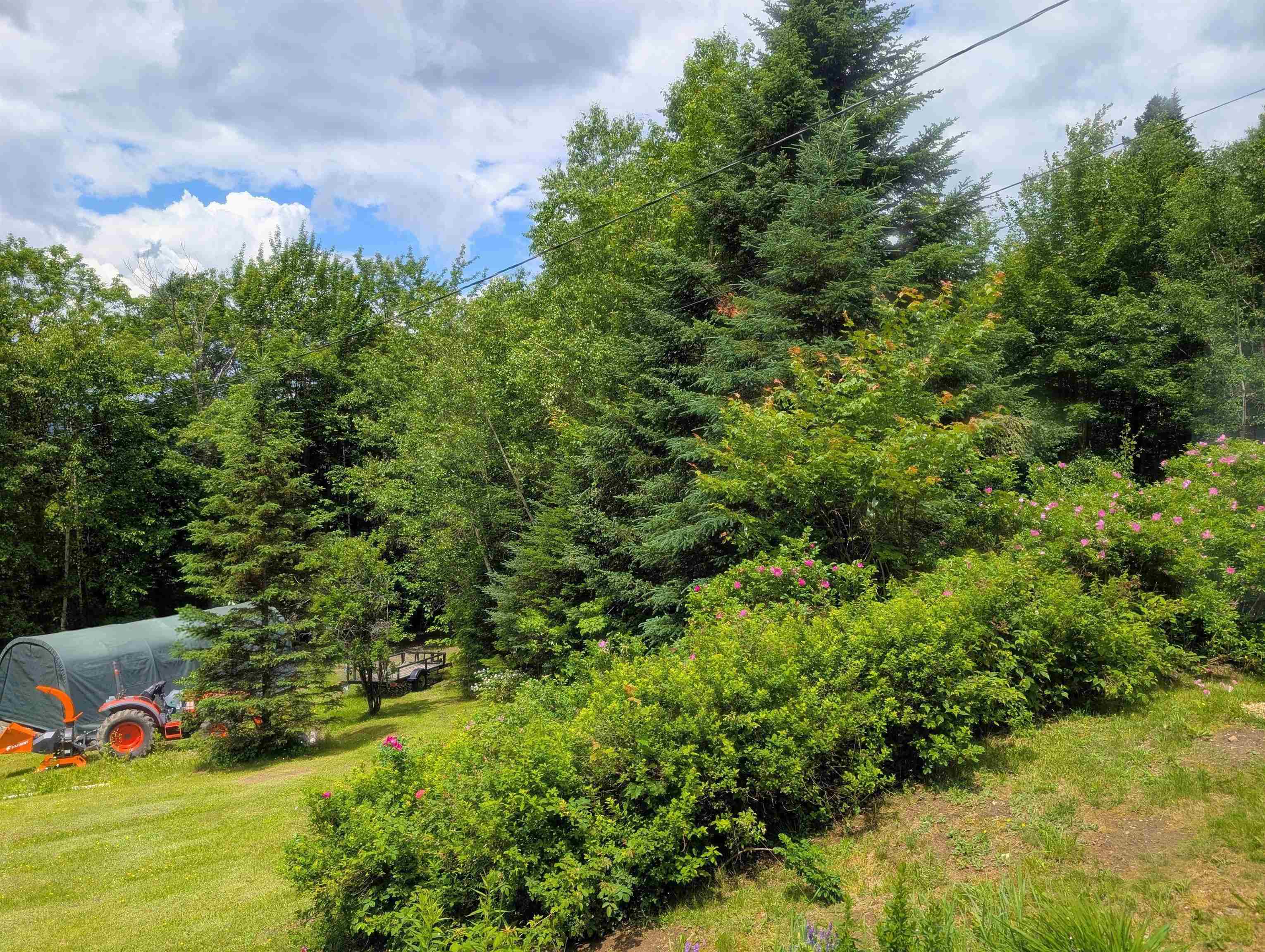 16 Griffin Road Stewartstown, NH 03576 - Photo 17 of 41
