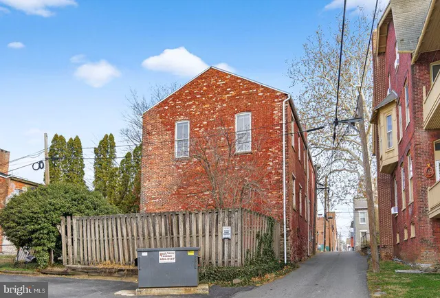 a view of a forest with a tree