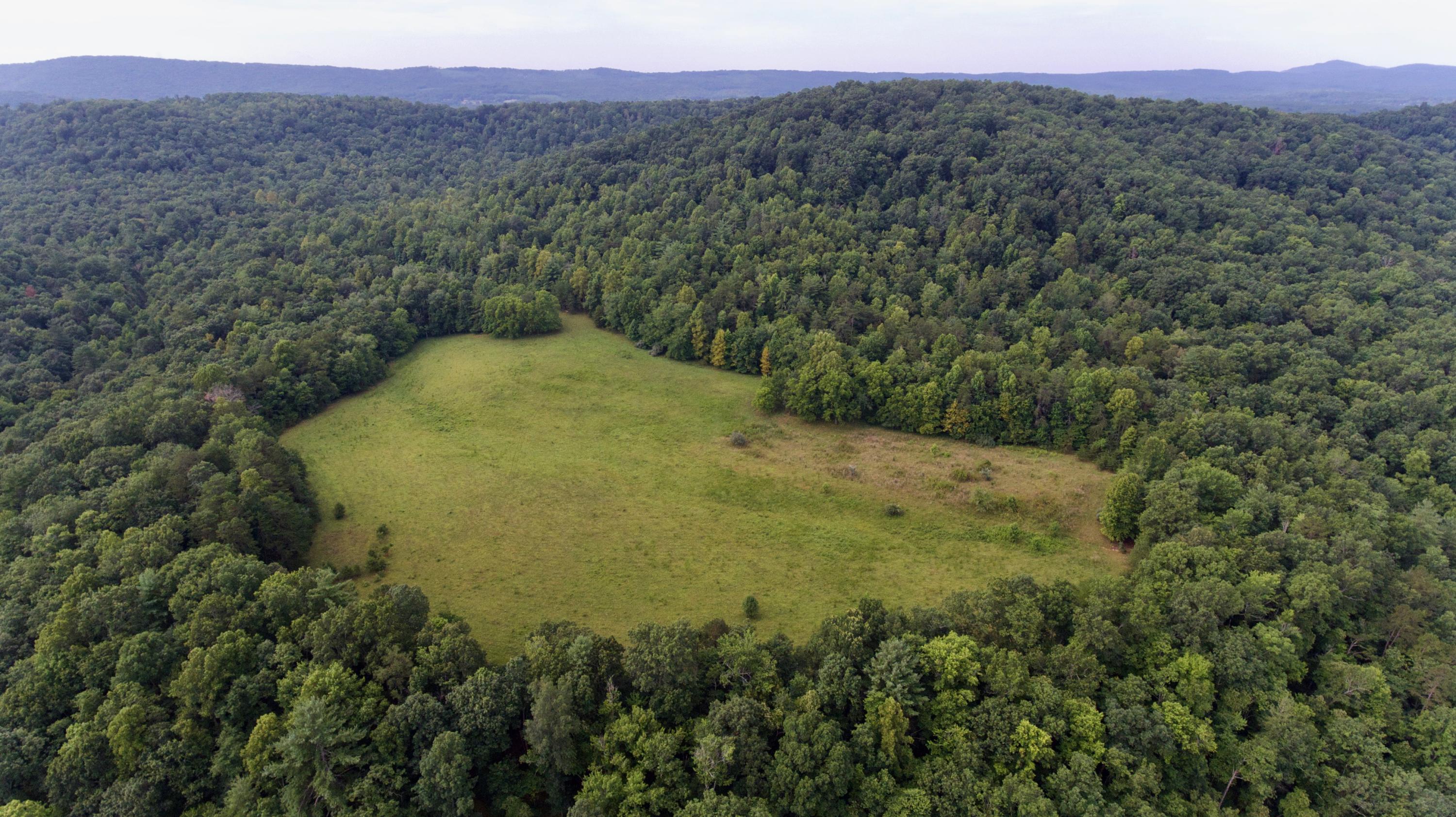 Huse Watson Road Oakdale, TN 37829 - Photo 1 of 40 1