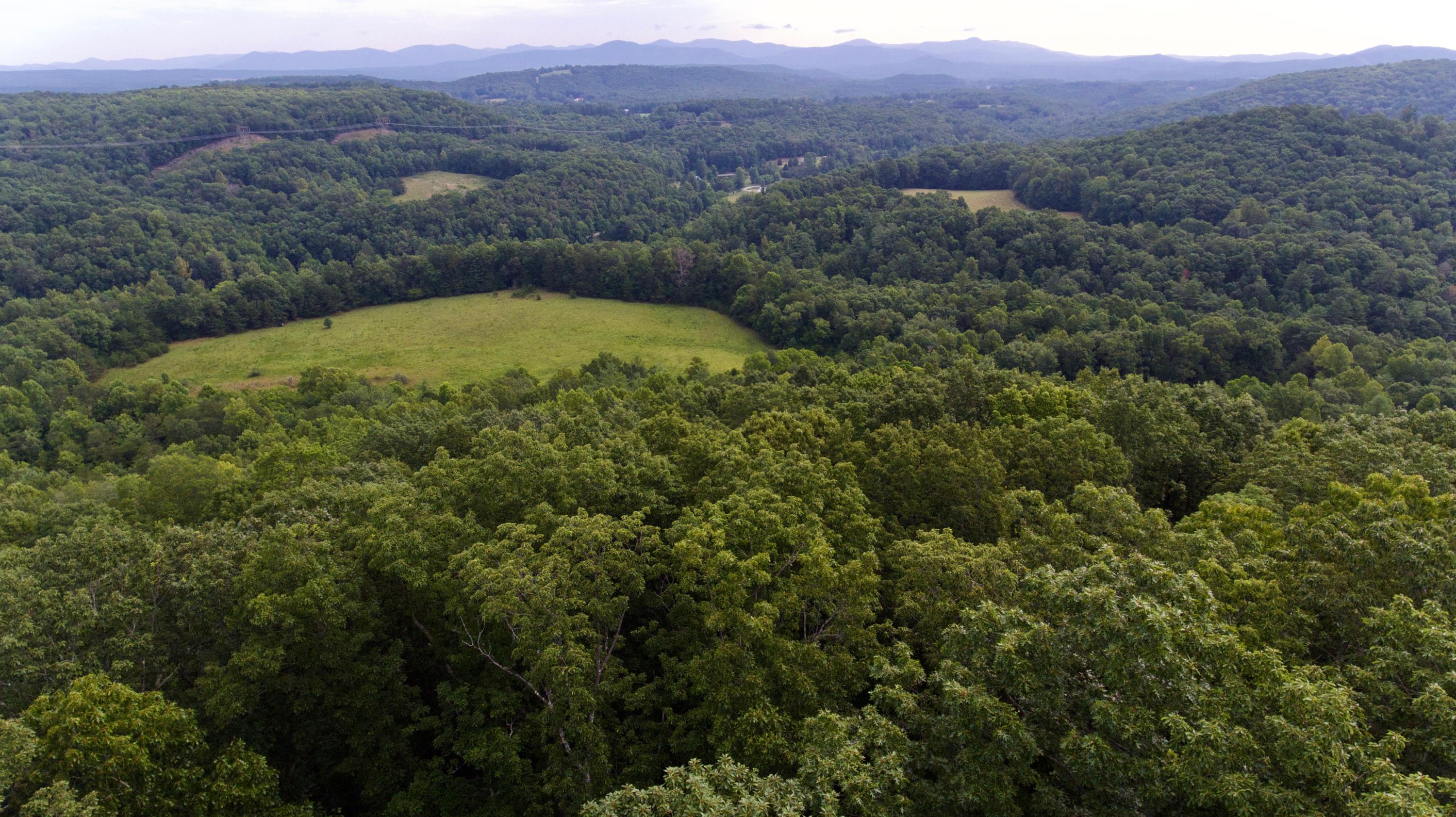 Huse Watson Road Oakdale, TN 37829 - Photo 2 of 40 2
