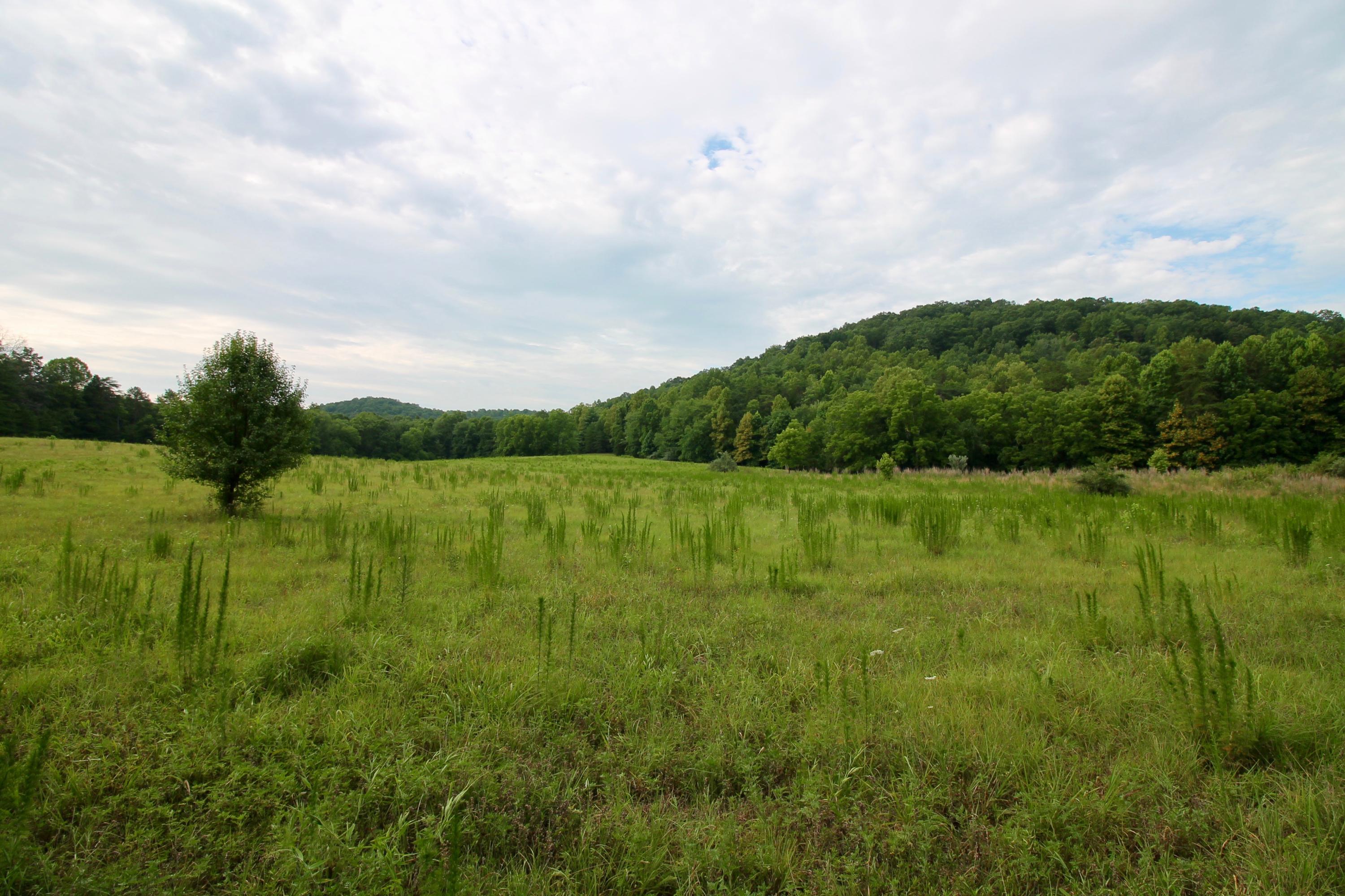 Huse Watson Road Oakdale, TN 37829 - Photo 11 of 40 11