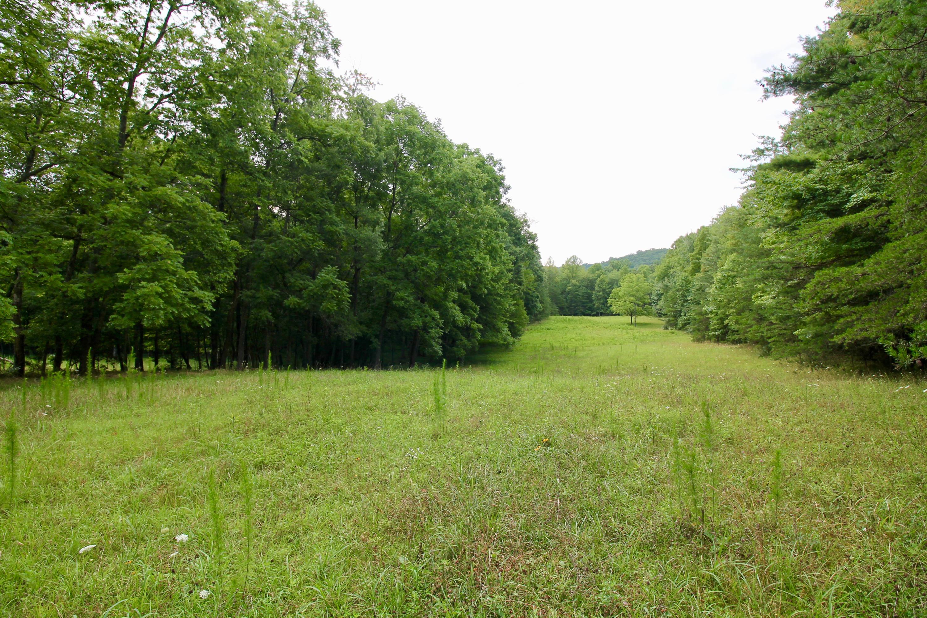 Huse Watson Road Oakdale, TN 37829 - Photo 12 of 40 12