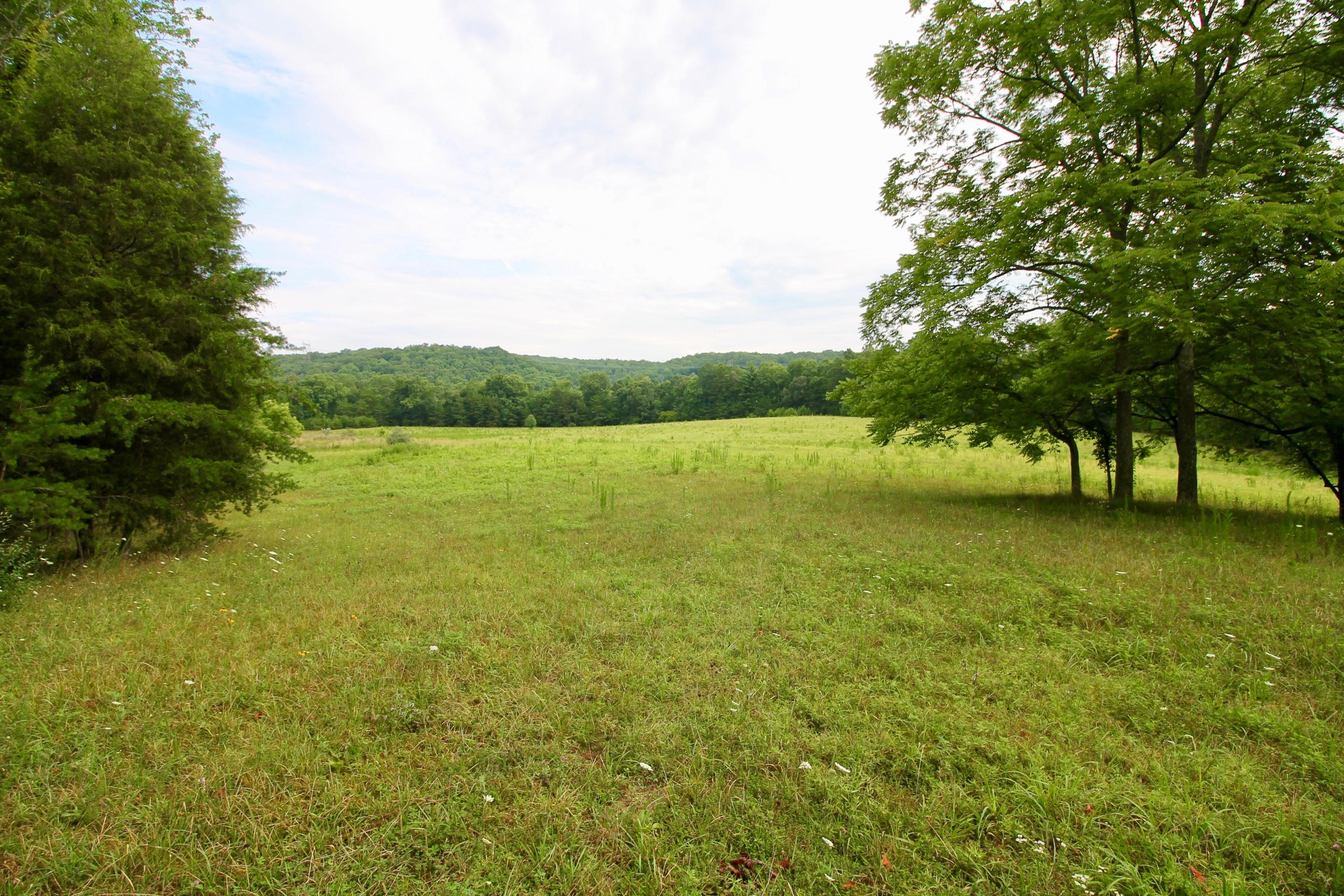 Huse Watson Road Oakdale, TN 37829 - Photo 13 of 40 13