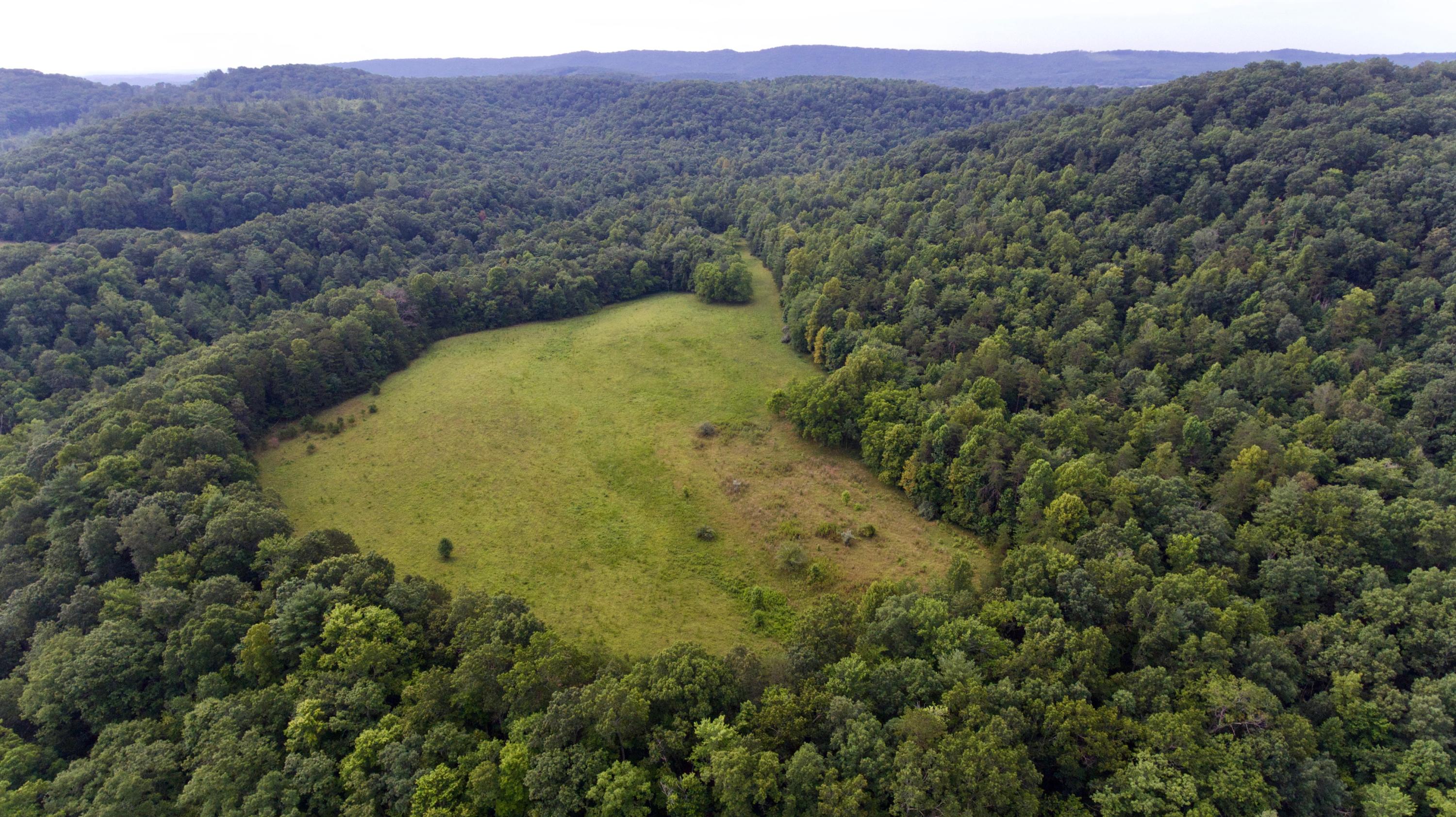 Huse Watson Road Oakdale, TN 37829 - Photo 3 of 40 3